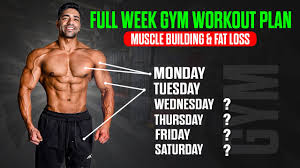 full week gym workout plan muscle