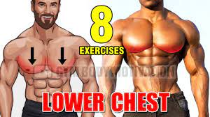 lower chest