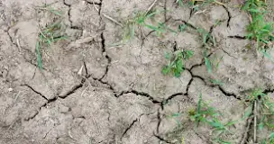 how-do-you-repair-cracked-dry-soil