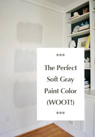 Gray Paint Color