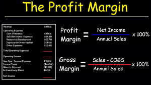 gross margin and net profit margin