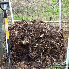 Make Compost For Your Vegetable Garden