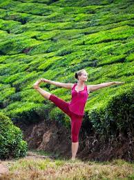 a complete guide to yoga in india