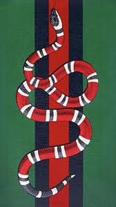 gucci snake wallpapers on wallpaperdog