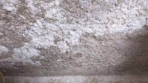 Like most molds, black mold starts to grow as fuzzy white fibers, looking similar to a cotton ball. How To Get Rid Of And Prevent Mold Growth On Concrete Environix