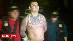 Originally, the gang was set up to protect salvadoran immigrants from other gangs in the los angeles area. Ms 13 Gang Leader Blanco Captured In Guatemala Bbc News