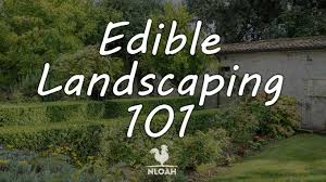 Edible Landscaping What Is It How To