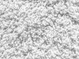 loop pile vs cut pile types of carpets