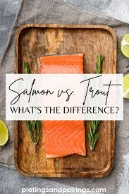 trout vs salmon the key differences