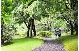 Life Lessons In A Japanese Garden