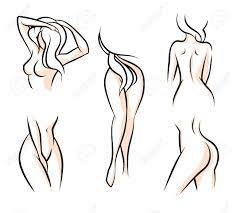 Maybe you would like to learn more about one of these? Female Body Parts Waist Attractive Woman Hip Naked Human Model Vector Illustration Royalty Free Cliparts Vectors And Stock Illustration Image 47823452