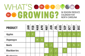 Whats In Season North Carolina Produce Calendar Infographic