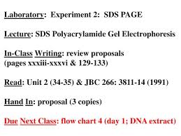 Ppt Laboratory Experiment 2 Sds Page Lecture Sds