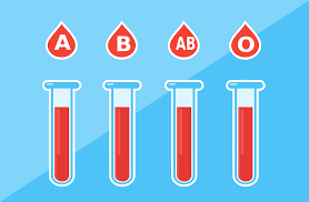 Blood Type Personality What Does Your Blood Say About You