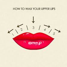 waxing your upper lip 101 important