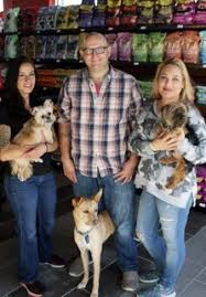 Dingo's Natural Pet Food, Self-Wash & Grooming: Pet Supply Store ...