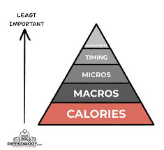 calorie intake for fat loss