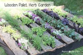 Wooden Pallet Herb Garden Repeat
