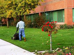 Maybe you would like to learn more about one of these? About Lawn Care Edmond Oklahoma City Moore Norman Ok