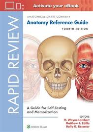 Rapid Review Anatomy 4th Edition Anatomical Chart Company