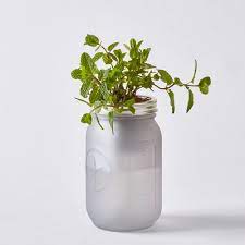 Modern Sprout Garden Jar Herb Kit Set
