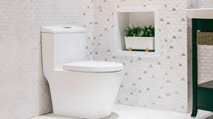 Ada stands for americans with disabilities act. Read This Before You Buy A Toilet This Old House