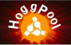 القصة الكاملة لـ تطبيق هوج بول «Hoog pool».. كواليس استيلاء مستريح الإنترنت على 6 مليار جنيه.. وتفاصيل خفية لـ غلق التطبيق 1