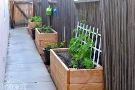 Side Yard Vegetable Garden Small