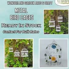 Mild Steel Decorative Cages For Birds