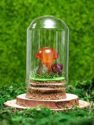 1pc Mushroom Glass Dome Cloche Cover