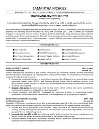 Appealing IT Program Manager Resume Sample Displaying Core Professional  Strengths And Selected Accomplishments