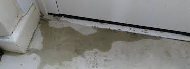 Solve Damp In Concrete Floors Peter