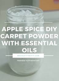 apple e diy carpet powder with