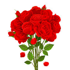 red rose bouquet vector free