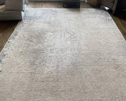 elmhurst il carpet cleaning services