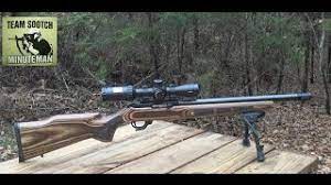 ruger 10 22 bull barrel review you