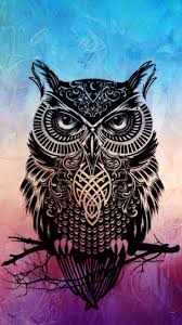 2,801 best owl background free brush downloads from the brusheezy community. Owl Wallpapers Top Free Owl Backgrounds Wallpaperaccess Planos De Fundo Papeis De Parede Para Iphone Papel De Parede Coruja