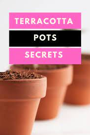 are terracotta pots good for plants