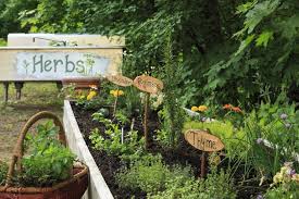 herb garden ideas for indoors and