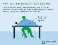 is-pangasius-fillet-safe-to-eat