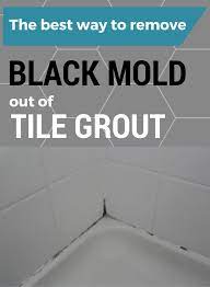 remove black mold