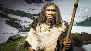 Neanderthaler verdween niet door klimaat of strijd met homo sapiens'
