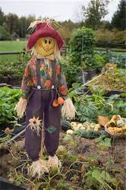 garden with scarecrow stock photos