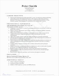 10 Management Resume Objective Examples Cover Letter