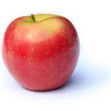 Apple Varieties Of New York State Snapdragon Ny Apple