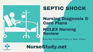 septic shock nursing diagnosis and
