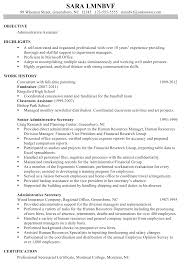 Example Of Resume Personal Statement   Professional resumes sample    