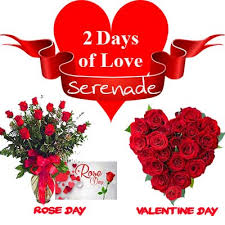 From sparkling jewelry to decadent chocolates, there's something for that special someone no matter how long the two of you have been together. Send Valentine Week Gifts Online Valentine Week Serenade Gift Ideas 2021