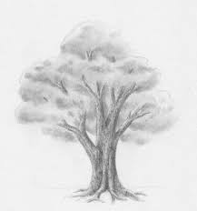 Das thema zeit einfacher thematisiert werden. Laub Baum Zeichnen Lernen Zeichenkurs