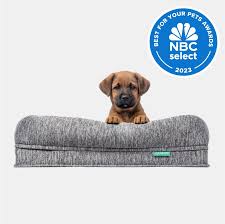 16 Best Dog Beds In 2024 According To